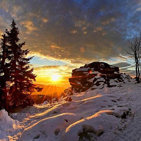 Apartman Pod Smrcinou Vaclavov u Bruntalu エクステリア 写真