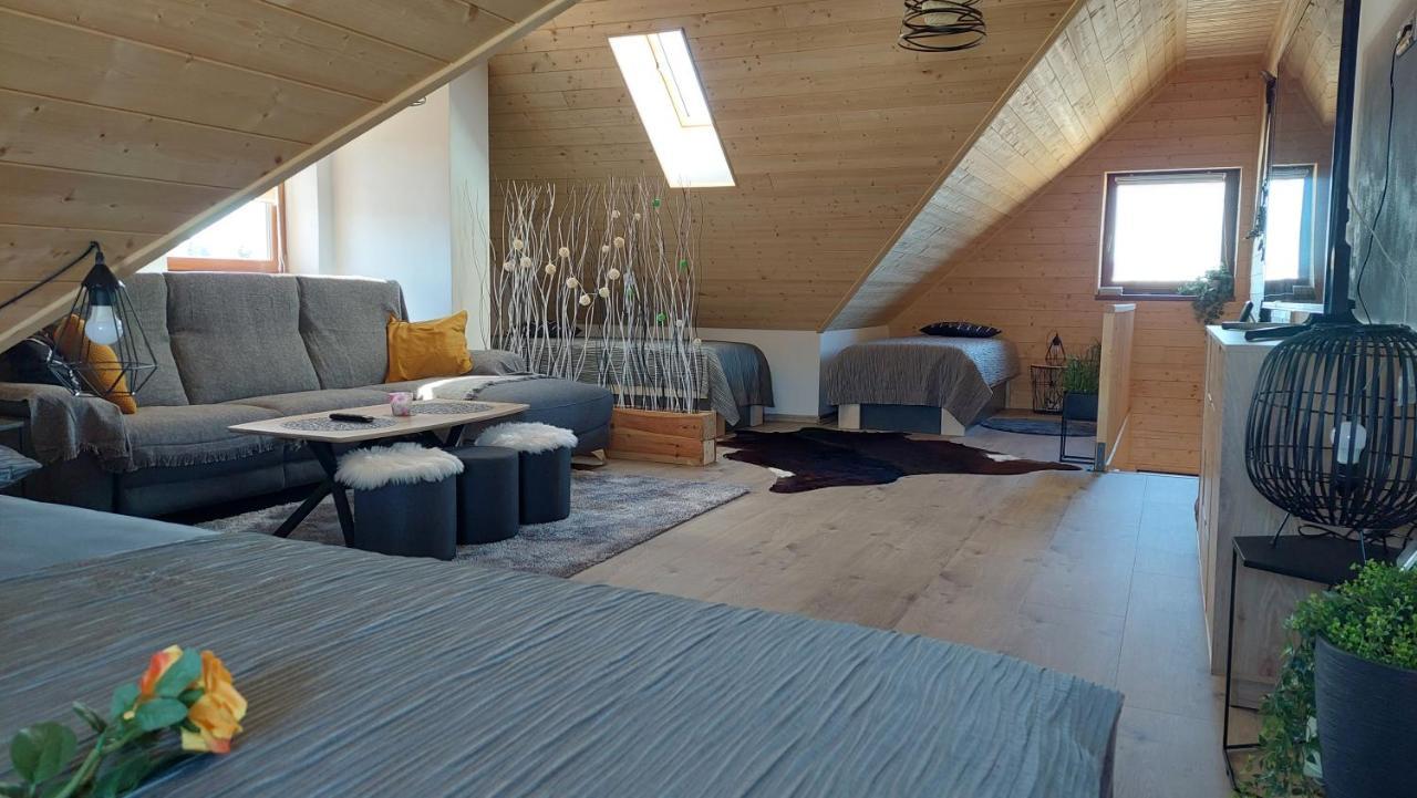Apartman Pod Smrcinou Vaclavov u Bruntalu エクステリア 写真