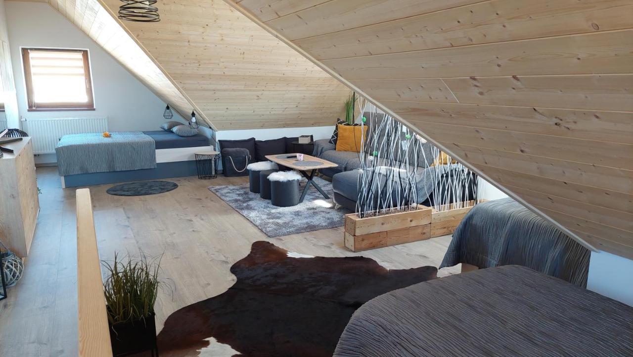 Apartman Pod Smrcinou Vaclavov u Bruntalu エクステリア 写真