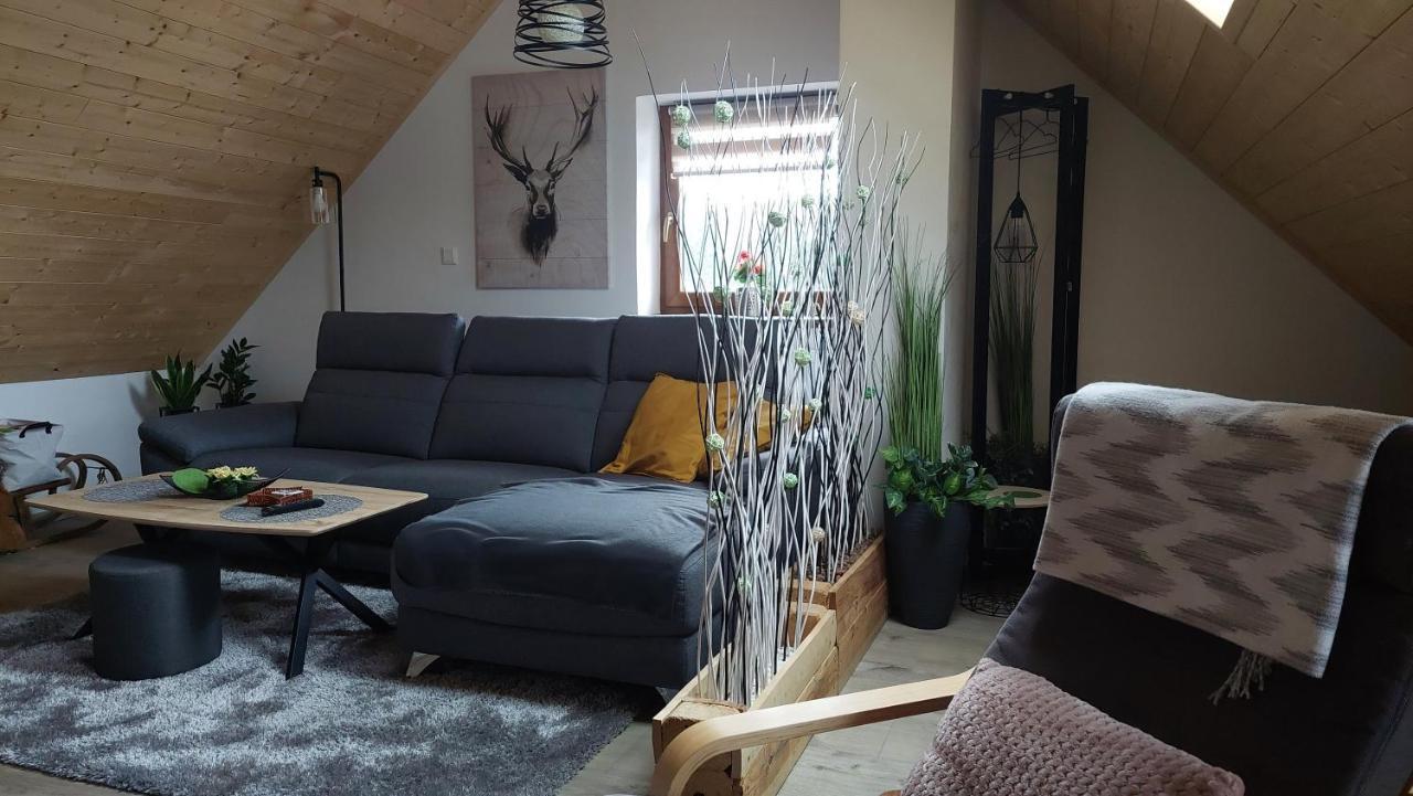 Apartman Pod Smrcinou Vaclavov u Bruntalu エクステリア 写真
