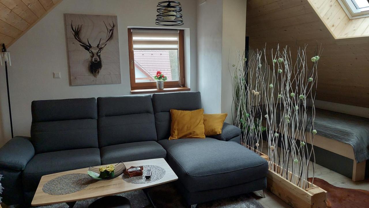 Apartman Pod Smrcinou Vaclavov u Bruntalu エクステリア 写真