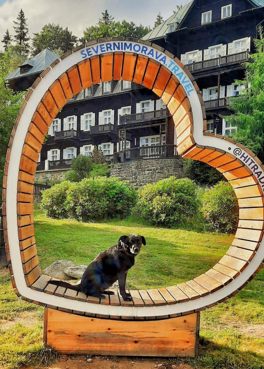 Apartman Pod Smrcinou Vaclavov u Bruntalu エクステリア 写真
